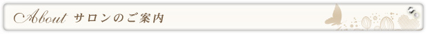 About サロンについて